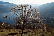 17 Vista sul laghi di Garlate e Olginate